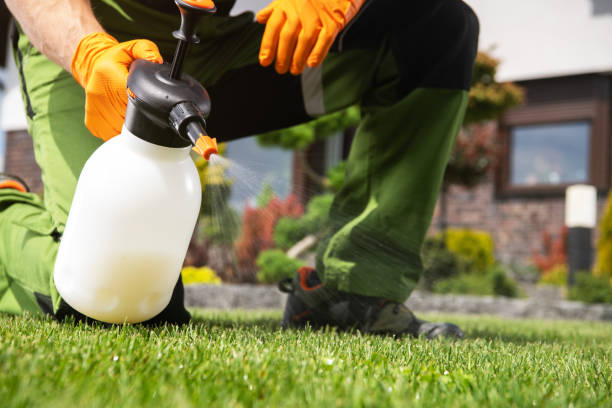 Pest Prevention Services in Woodville, WI