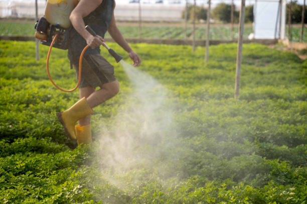 Best Pest Removal Services  in Woodville, WI