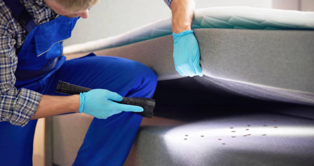 Best Rat Extermination Near Me  in Woodville, WI