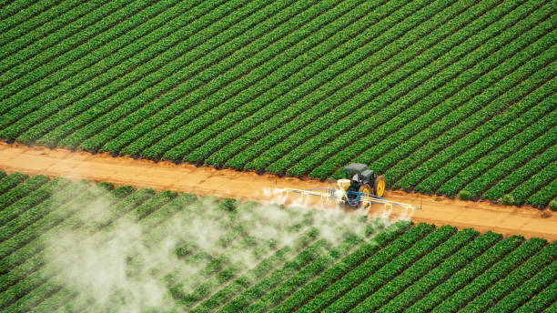 Best Commercial Pest Control Services  in Woodville, WI