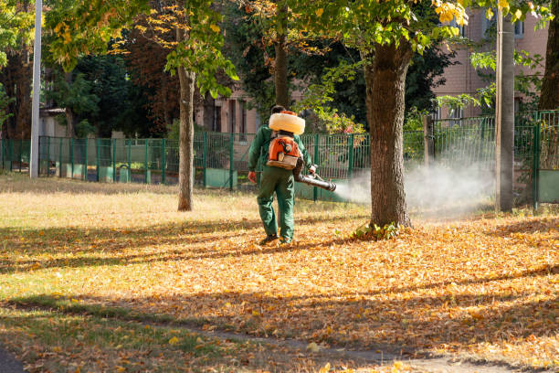 Best Cockroach Control Services  in Woodville, WI
