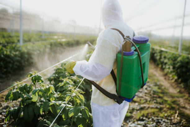 Best Best Pest Control Companies  in Woodville, WI